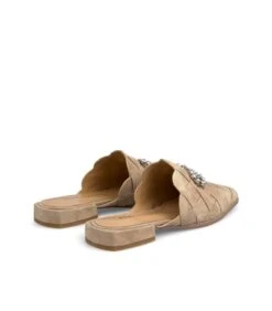 Alma En Pena AGAVE 7 Alma En Pena AGAVE -Alma En Pena agave vison 2