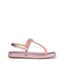 Alma En Pena CASTILLO