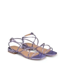 Alma En Pena ENET -Alma En Pena enet purple 1