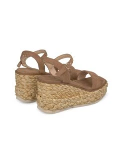 Alma En Pena SYRAH 7 Alma En Pena SYRAH -Alma En Pena syrah camel 2