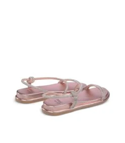 Alma En Pena VAREL 7 Alma En Pena VAREL -Alma En Pena varel rose 2