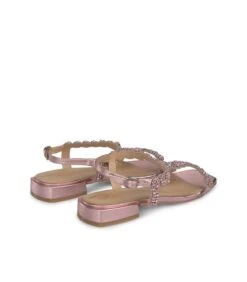 Alma En Pena VINES -Alma En Pena vines rose 2